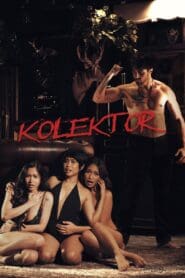 Kolektor