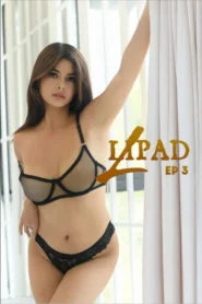 L3: Lipad