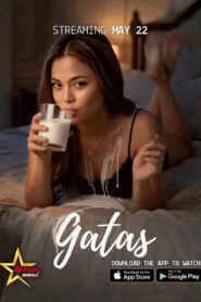 Gatas